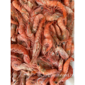 Langostino rojo de aguas profundas congeladas